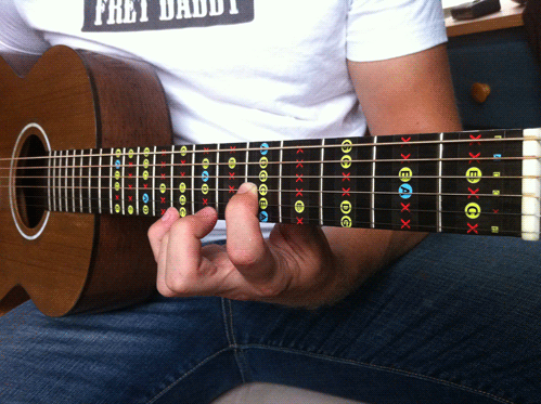 State of the Art Fretboard Stickers